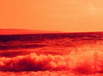 Fotografija iš P. Ščepanovič parodos